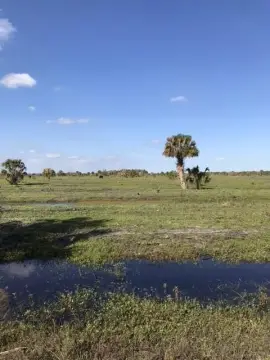 Fenced Agricultural Land
