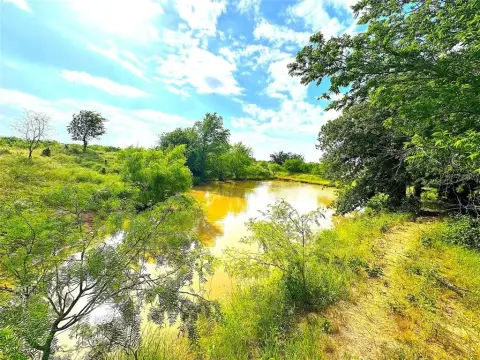 97 Acres in Horse Country