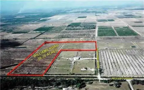 Agricultural Land with Cattle