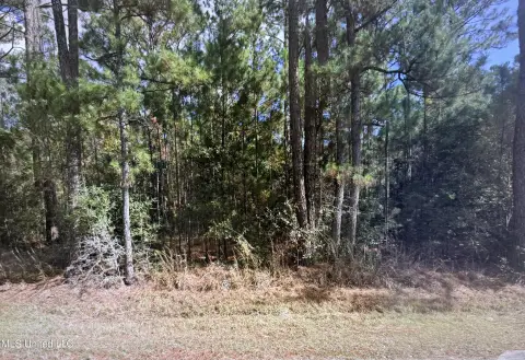 Wooded Land in Bay Saint Louis