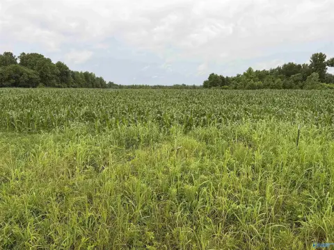 Agricultural and Timber Land Tract