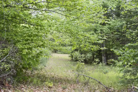 Palmyra, ME Buildable Lot