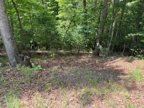 Wooded Lot Near Blairsville, GA