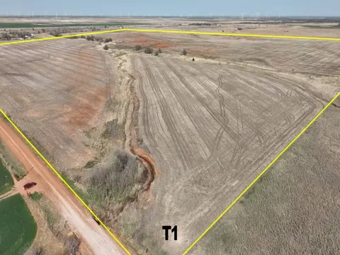 200 Acres of Vacant Land