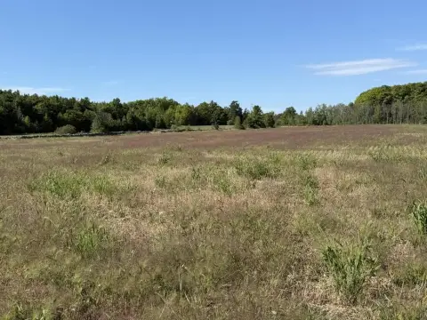 Agricultural Land with Hardwood Stand