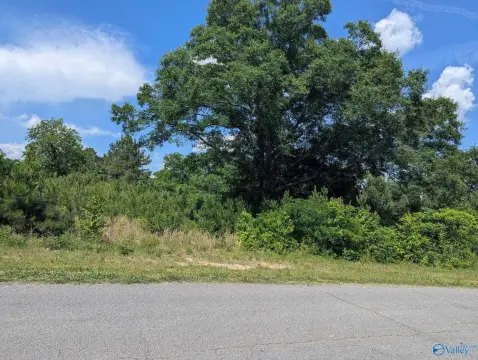 Land in Boaz, Alabama