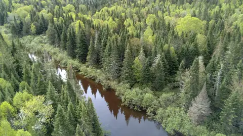Maine Land with River Frontage