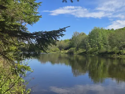 Waterfront Land in Island Falls