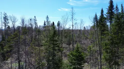 Hammond, ME Land For Sale