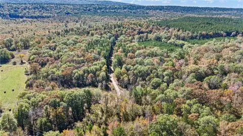 53+ Acres in Bluffton, AR