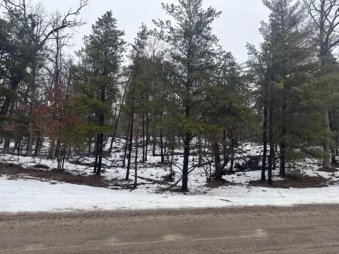 Wooded Lot Near Federal Land
