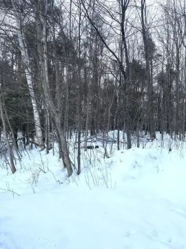 Mackinaw City Land For Sale