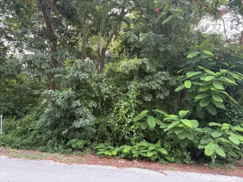 Vacant Homesite in Improved Subdivision