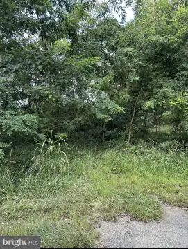Residential Land Near Orange, VA