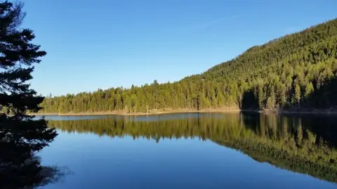 Emerald Lake Waterfront Land