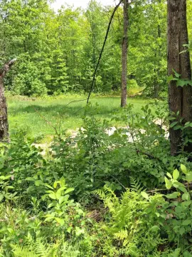 Ready Country Lot in Chesterville