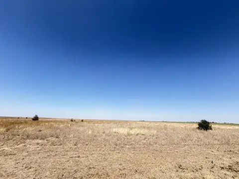 80 Acres of Farmland