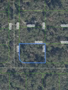 Residential Land in Sebring, FL