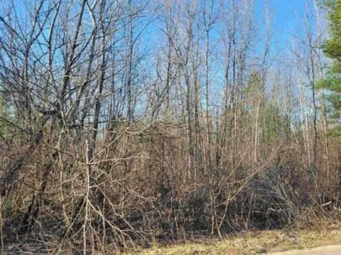 Wooded Land in Gladwin, MI