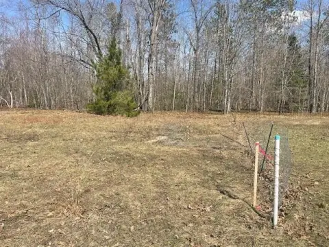Land Parcel in Indian River