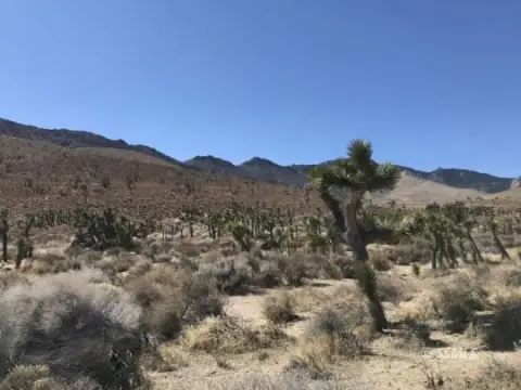 Zoned Off-Grid Ranch Land