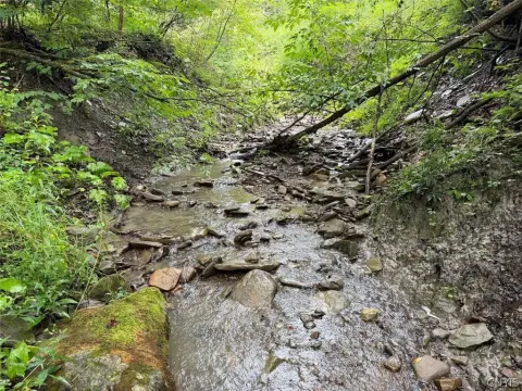 Wooded Hunting Land