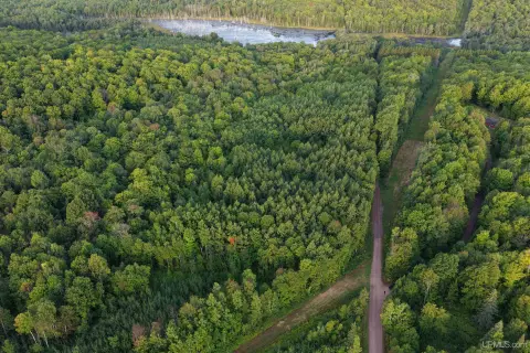 Wooded Hunting Land