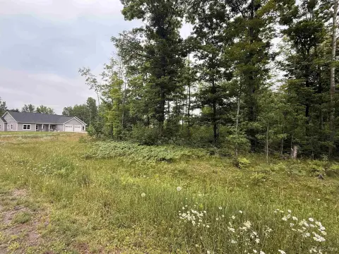Wooded Building Lot Near Golf