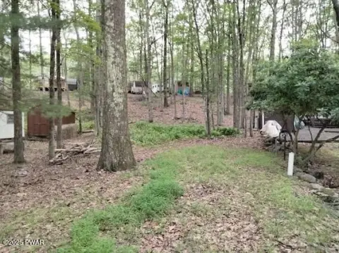 Jumbo Oversized Campground Campsite