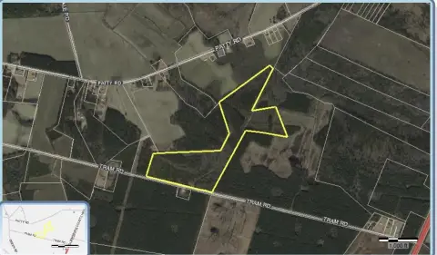 Versatile Acreage in Cades, SC