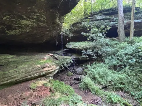 Hocking Hills 3-Acre Retreat