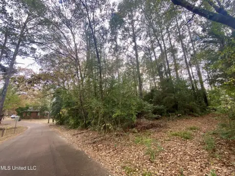 Wooded Lot in Edgewood Subdivision