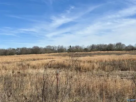 Land For Sale Horton, AL