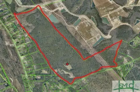 304 Acres in Bloomingdale, GA