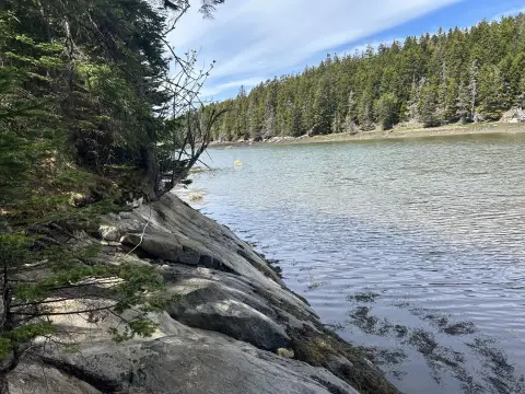 Waterfront Land on Swans Island