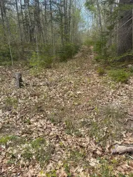 Steuben, ME Wooded Lot