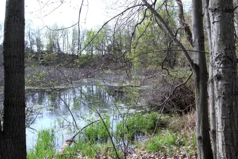 Scenic Land Parcel in Portland