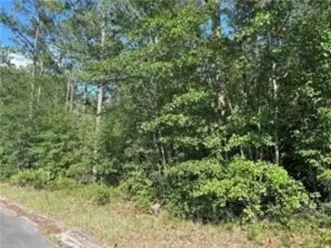 Waycross, GA - Raw Acreage