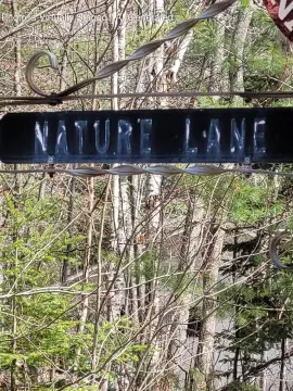 Vacant Lot Near Lake Huron