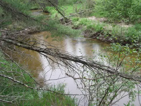 Pigeon River Land Parcel