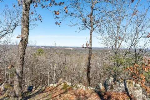 Recreational Hunting Land with Pond