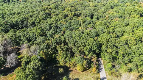Buildable Wooded Lot Near Golf