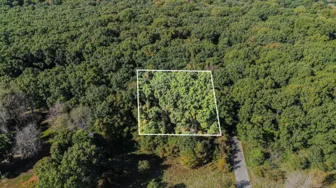 Buildable Wooded Lot Near Golf
