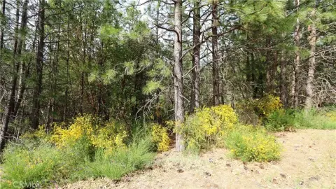 Cobb, CA Corner Lot
