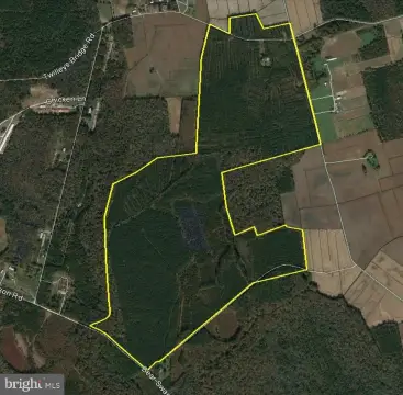 Parsonsburg Timberland with Conservation Easement