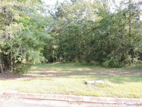 Residential Land in Greenville, AL