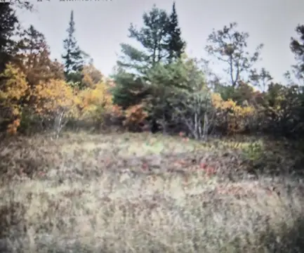 Residential Lots in Northwood Estates