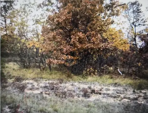 Residential Lots in Northwood Estates