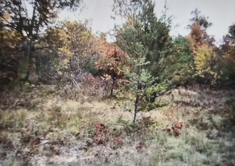 Residential Lots in Northwood Estates