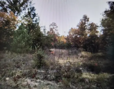 Residential Lots in Grayling Township